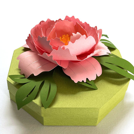 Peony gift box